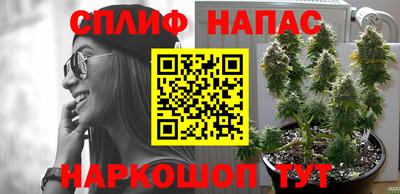 метадон Аргун