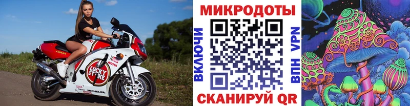 Псилоцибиновые грибы мухоморы  купить закладку  Котлас 