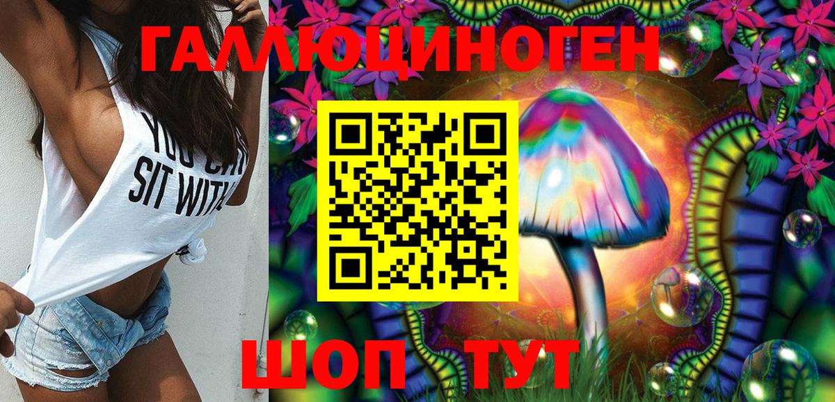 Котлас  закладки  Вход с VPN  Псилоцибиновые грибы Psilocybine cubensis 