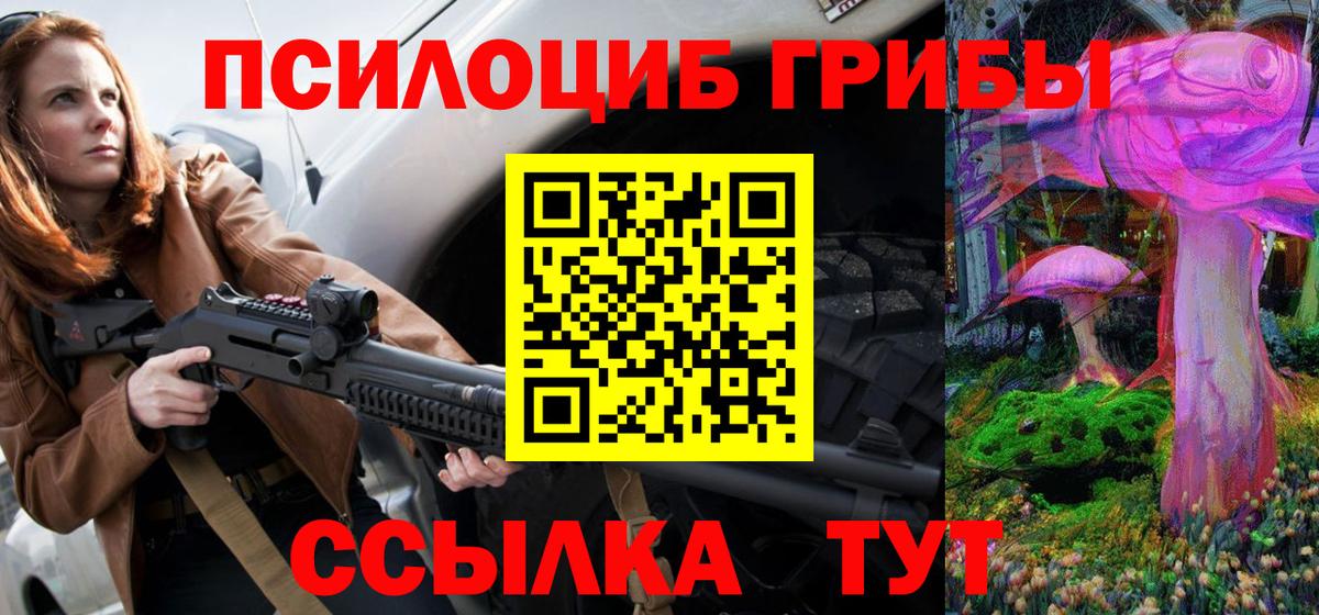 Псилоцибиновые грибы Psilocybine cubensis Котлас