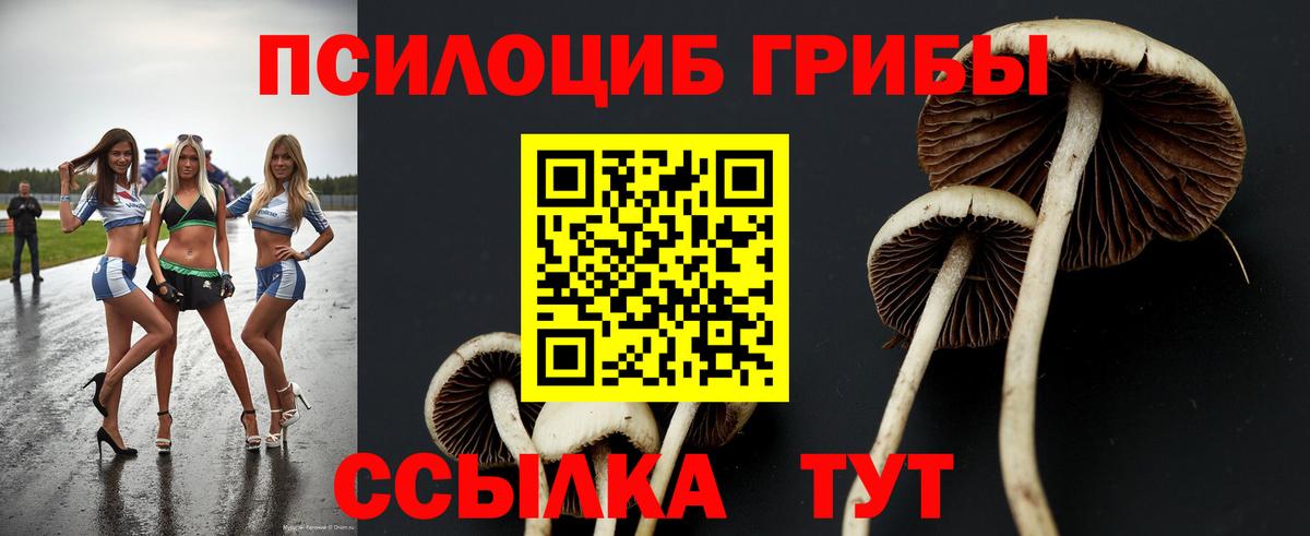 Псилоцибиновые грибы MAGIC MUSHROOMS  Котлас  Галлюциногенные грибы мицелий 