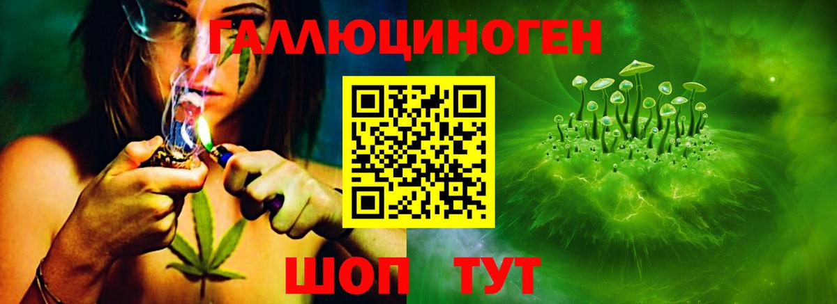 Псилоцибиновые грибы Psilocybine cubensis Котлас